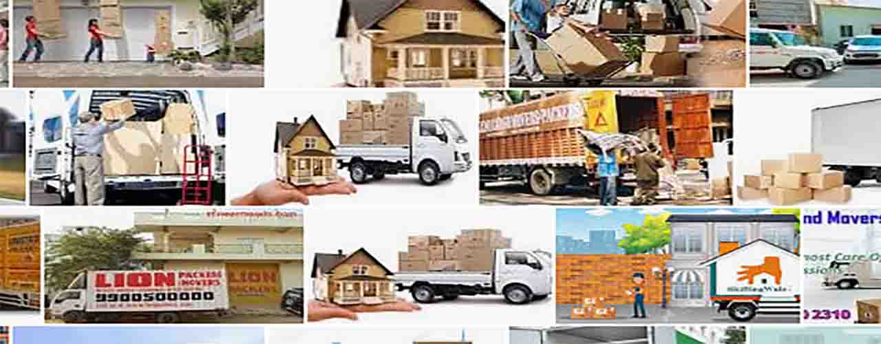 اجاره کارتن | سوزوبار | suzubaar