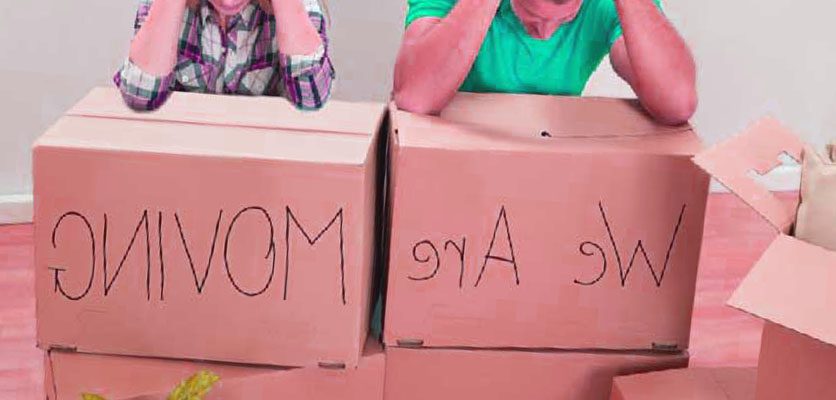 باربری سوزوبار با کم ترین قیمت